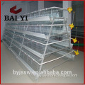 Automatic chicken bird cages for poultry farm